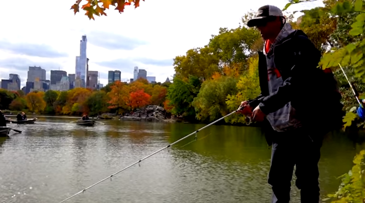 Watch Mike Iaconelli Catch Bass In Central Park!