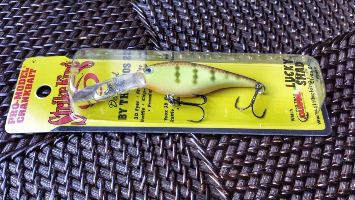 Why This New Crankbait Excels In Cold Water Conditions