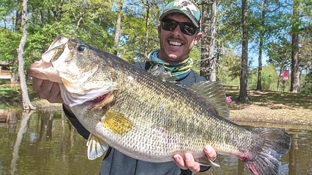 The 5 Best Bass Fishing Lakes In Texas