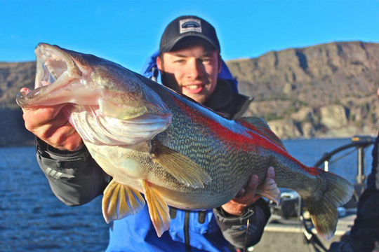 Vertical Jigging For Walleye: A Precision Tactic
