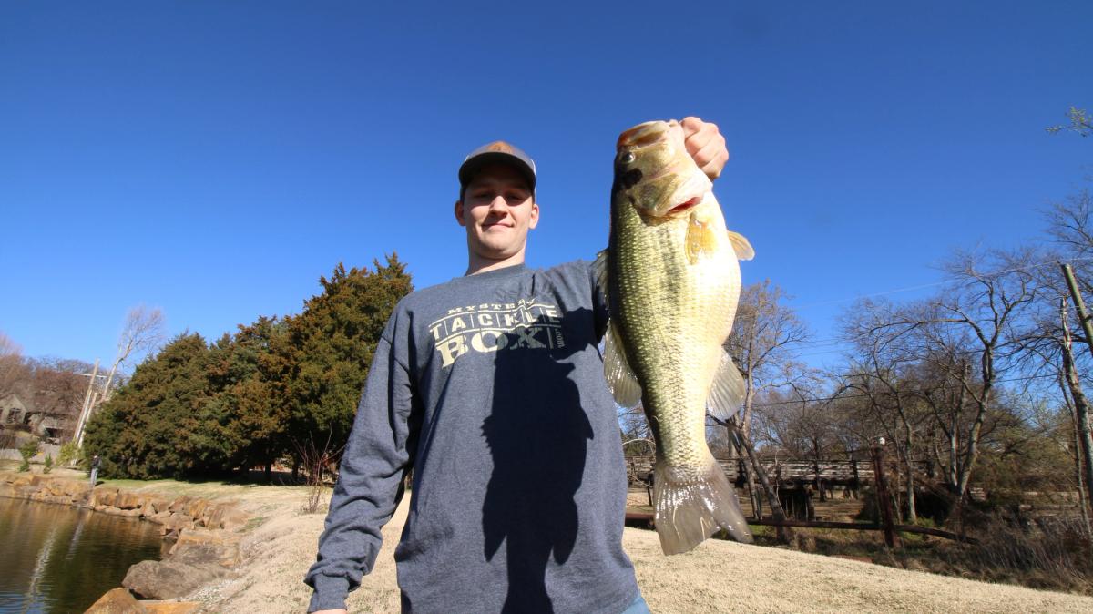 Spawn Success Tips: Understanding The Spawn Of 7 Common Gamefish