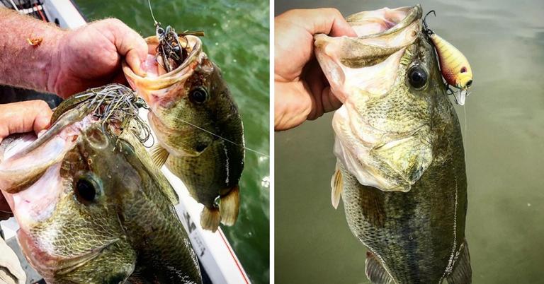 Bass Fishing After The Rain: How To Target Post Frontal Bass