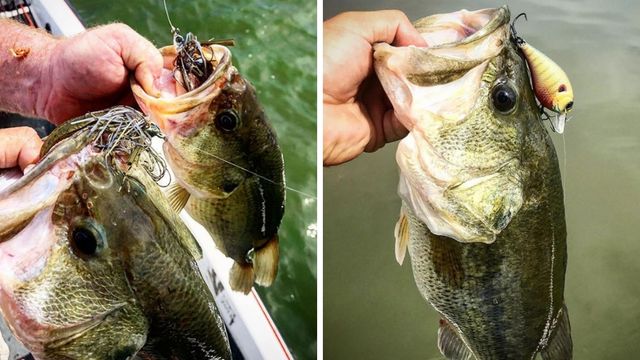 Bass Fishing After The Rain: How To Target Post Frontal Bass