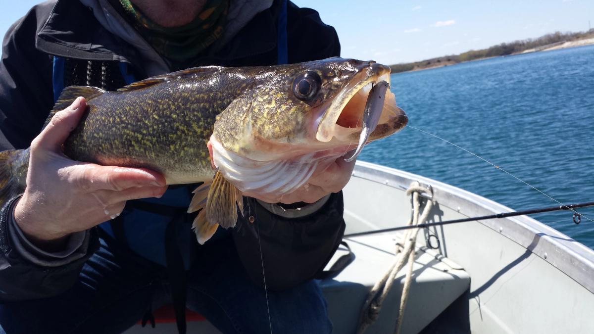 Mystery Tackle Box Adds New Walleye Option