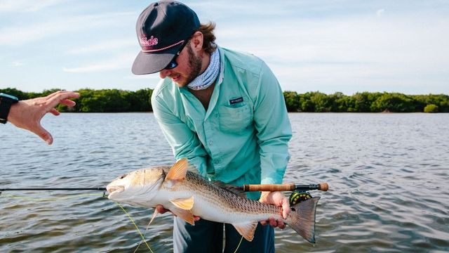 4 Inshore Saltwater Species You Need to Chase on the Gulf Coast