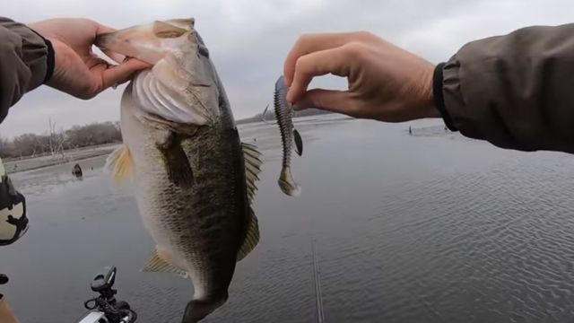 Lake Fork Guy Just Posted A Really Good Video On Fishing Soft Plastic Swimbaits