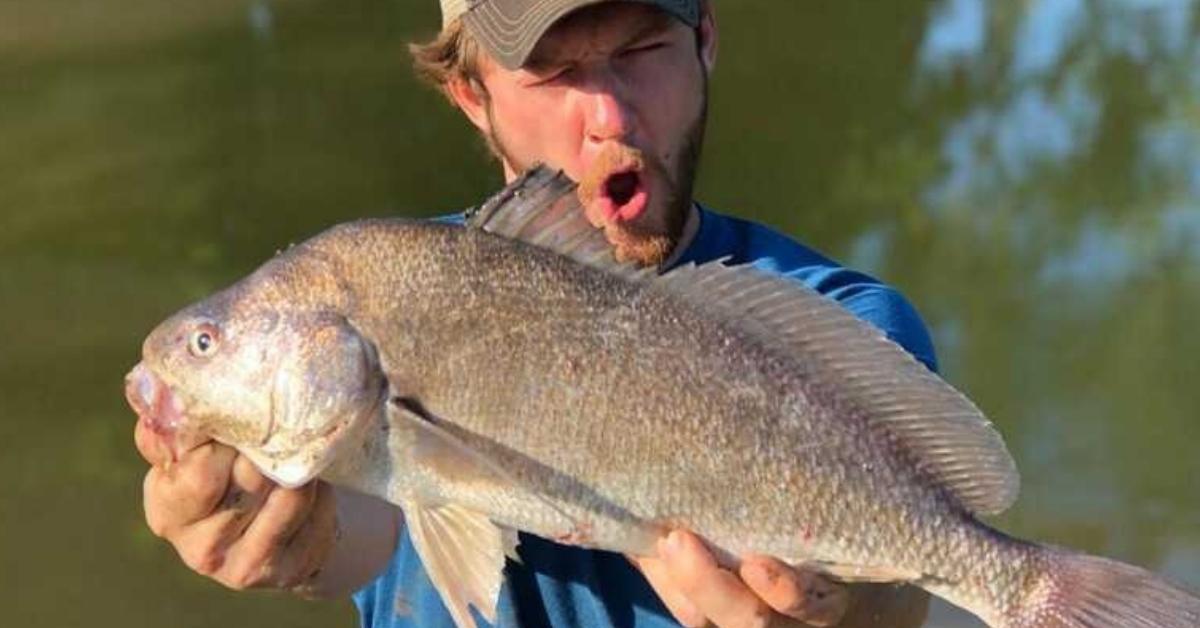 HOLY CARP! Four Underrated Fish Species That You Should Be Targeting