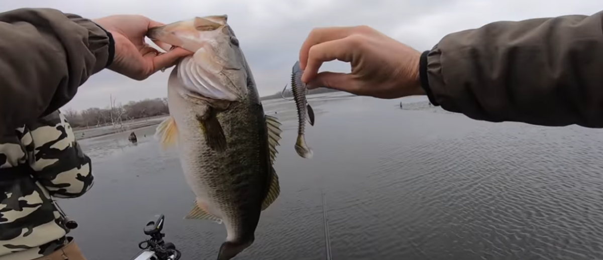 Lake Fork Guy Just Posted A Really Good Video On Fishing Soft Plastic  Swimbaits