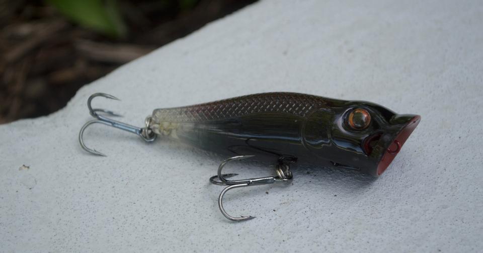 3 Night Fishing Baits That Will Get Bit All Night Long