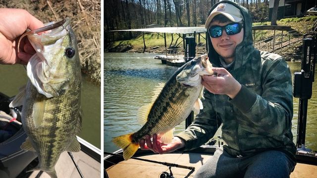 Spotted Bass Fishing 101: Everything You Need To Know