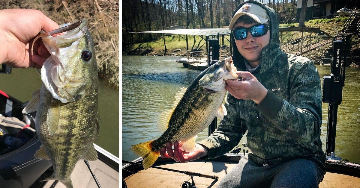 Spotted Bass Fishing 101: Everything You Need To Know