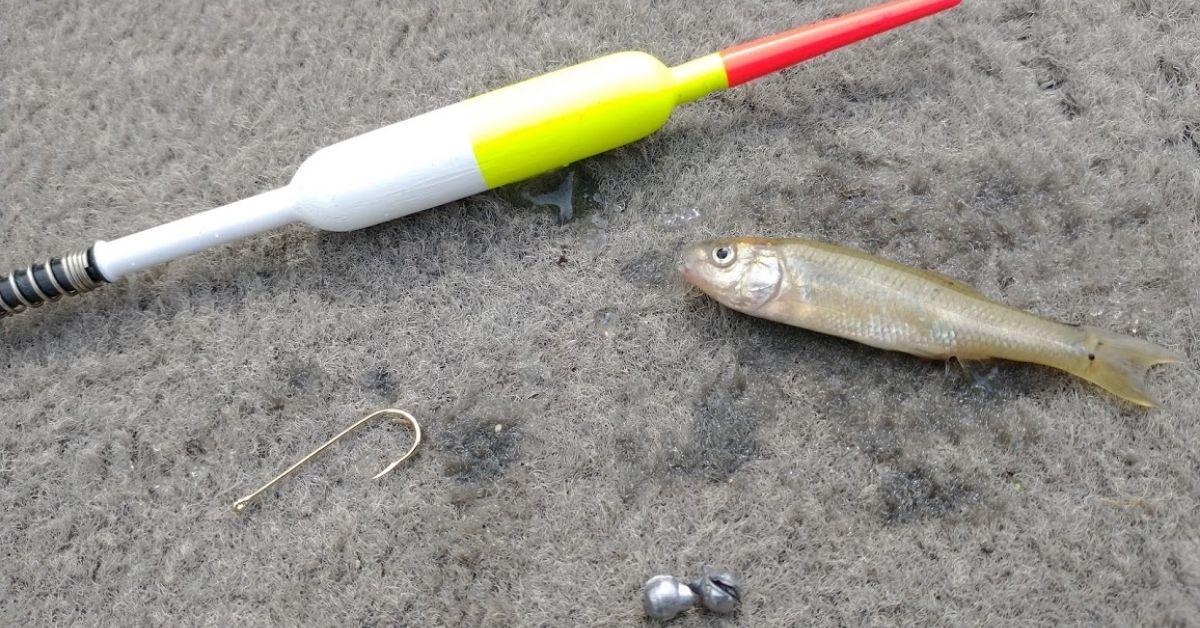 How To Rig A Spring Bobber In 4 Easy Steps