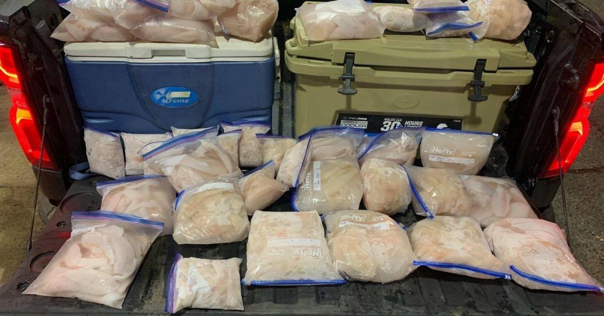 2 Dudes In Texas Caught With 173 Crappie OVER The Legal Limit!