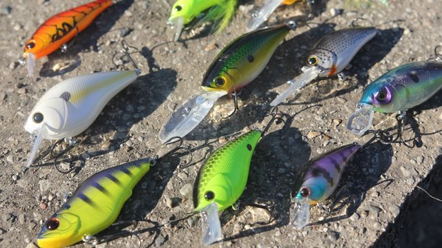 Everything You Ever Wanted To Know About Crankbaits