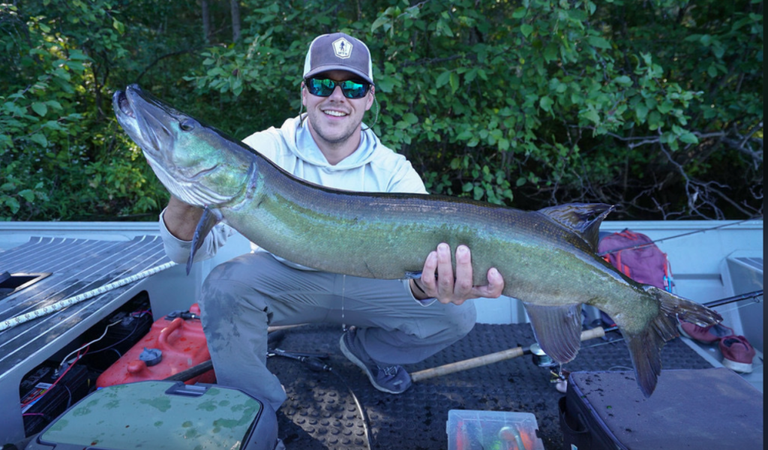 when-do-fish-spawn-in-the-spring-9-species-covered