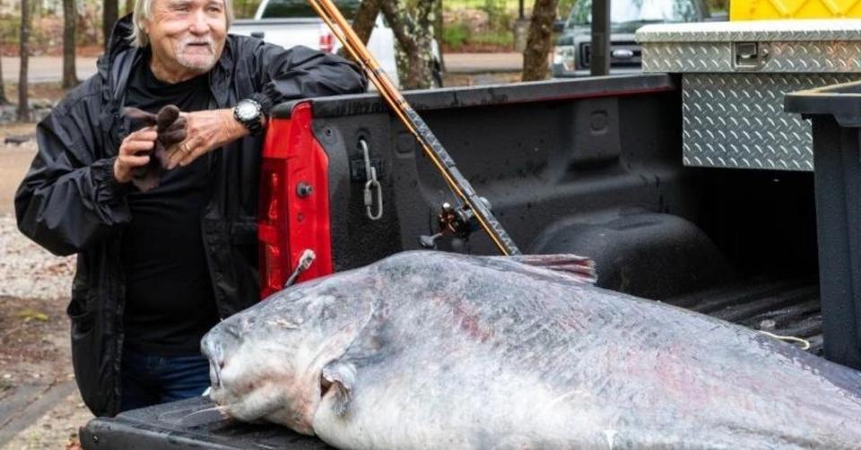 The Biggest Catfish Ever Caught In The State Of Mississippi (131 lbs)