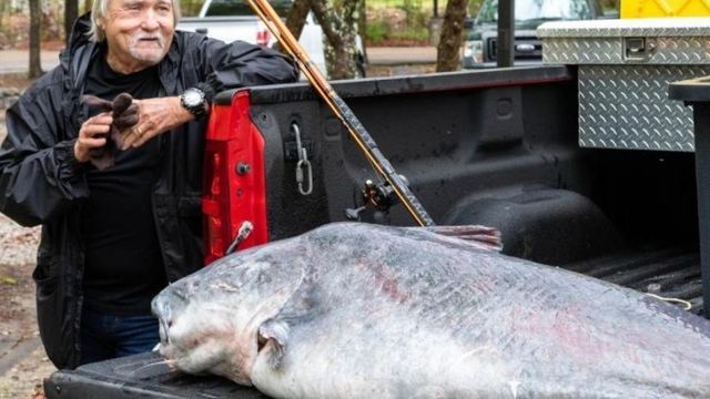 The Biggest Catfish Ever Caught In The State Of Mississippi (131 lbs)