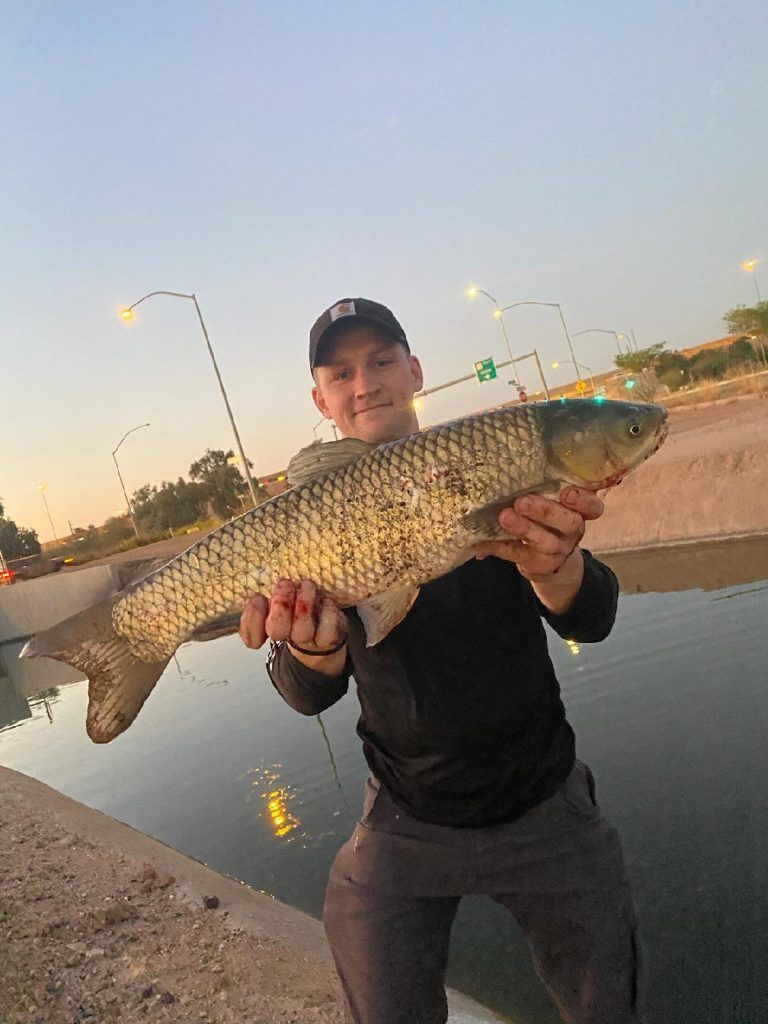 How To Catch Fish In The Phoenix Area Bottom Feeders Galore