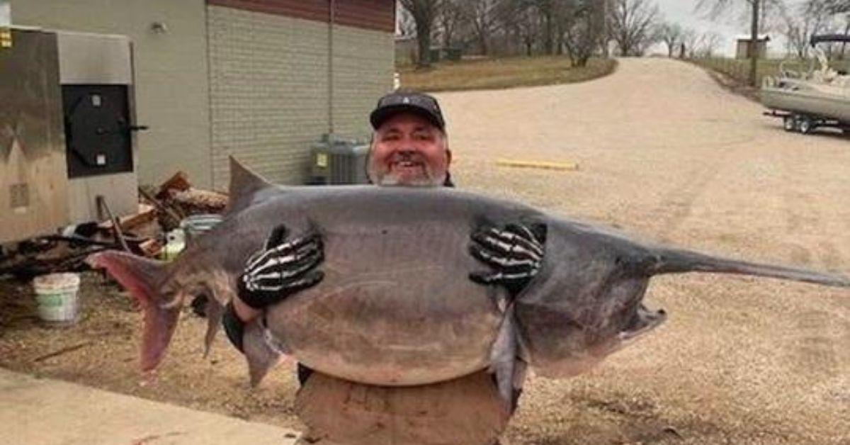 140-Pound Paddlefish Breaks Missouri State Record By A Single Ounce