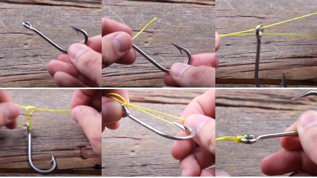 The Palomar Knot: A Simple Fishing Knot Every Angler Needs To Know
