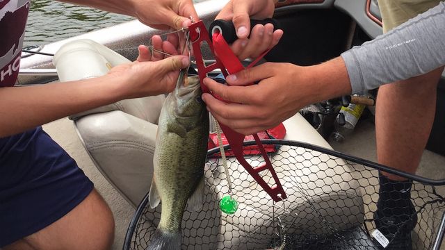 7 Tips To Better Handle Your Catch