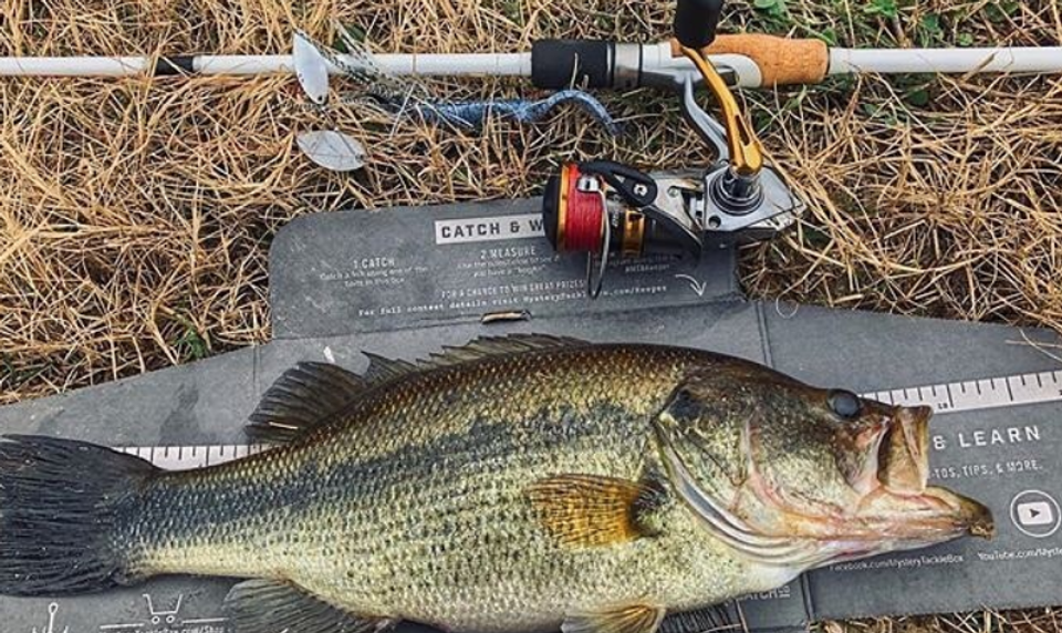 Bass Fishing After The Rain How To Target Post Frontal Bass