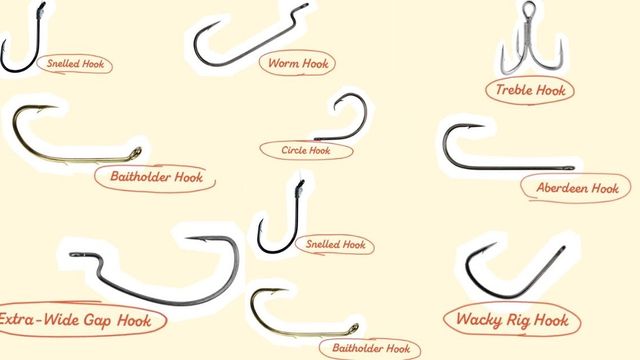 Fishing Hooks 101: How To Pick The Right Fishing Hook Every Time