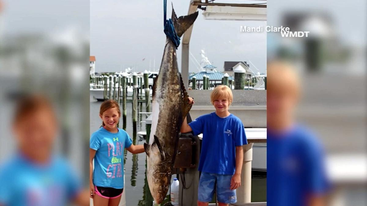9 Year Old Girl Shatters MD State Record With 94 Lb Catch