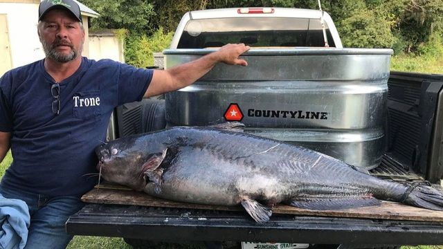 A 111 Pound Blue Catfish Obliterates The Georgia State Record