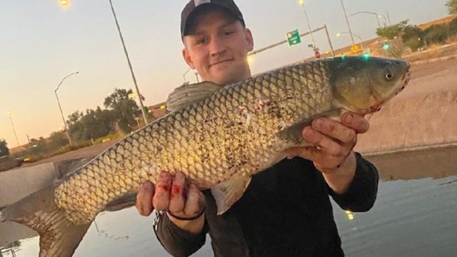 How To Find The Best Fishing Spots In The Phoenix Area