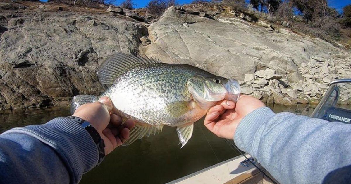 Your Complete Guide To Fishing The Crappie Spawn