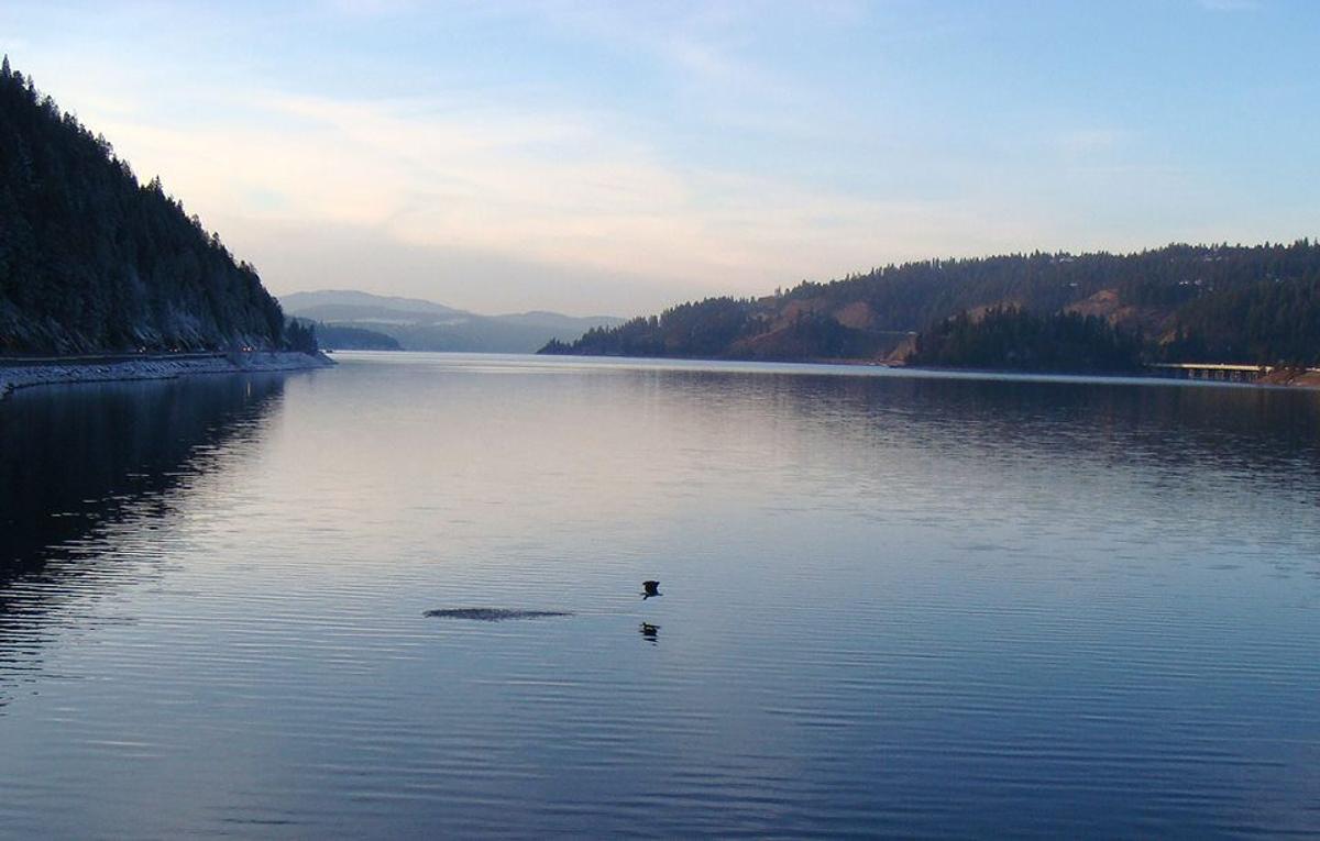 The 7 Best Lakes In America For Sight Fishing: