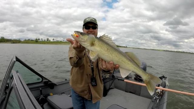How To Catch Walleye And Where To Find Them In Warm Water