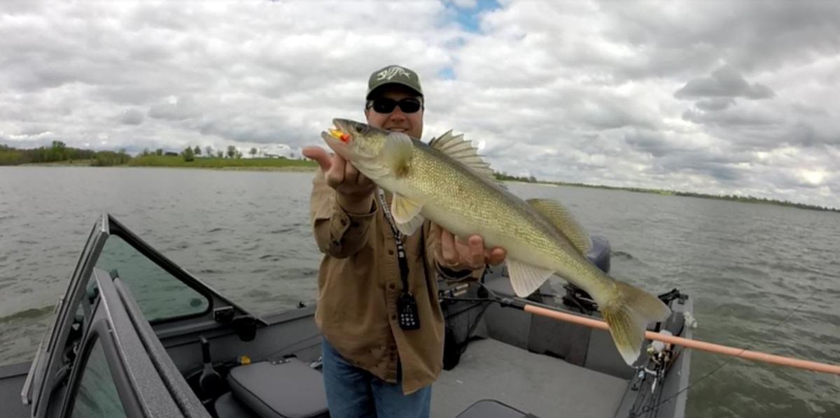 How To Catch Walleye And Where To Find Them In Warm Water