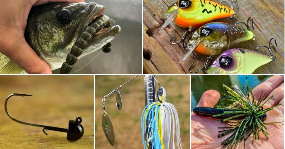 The Best Lures For Catching Bass In Ponds 6 Baits That Work All Year Long 2759