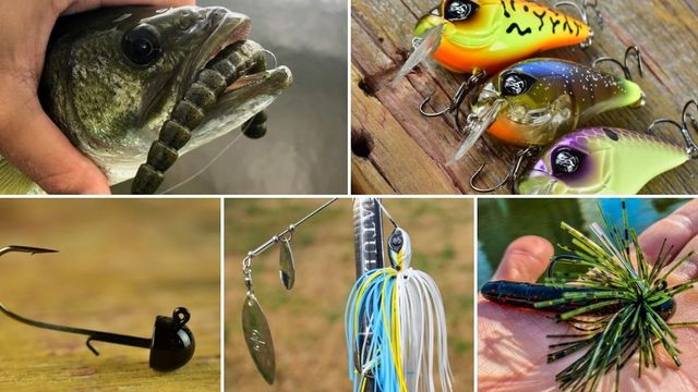 The Best Lures For Catching Bass In Ponds: 6 Baits That Work All