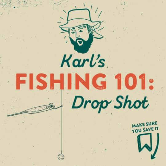 Everything You Need To Know About The Drop Shot! Drop Shot 101! 