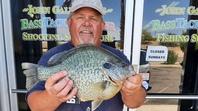 This Potential World Record Sunfish Is Bigger Than Every Panfish You've Ever Seen