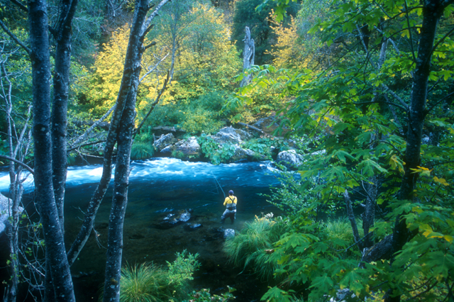 The 10 Best Places To Fish In California