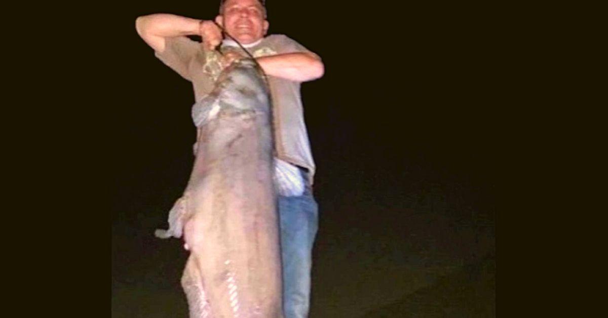 A Tennessee Angler Hauled In A 100+ Pound Catfish After His Friends Said They Didn't Feel Like Fishing