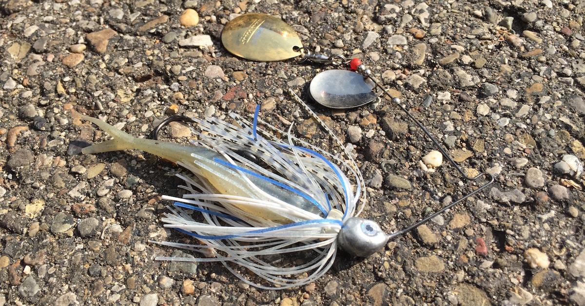 How To Use Search Baits To Find Bass Quickly