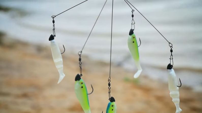 Umbrella Fishing Rig – Legal Limit Bait Box