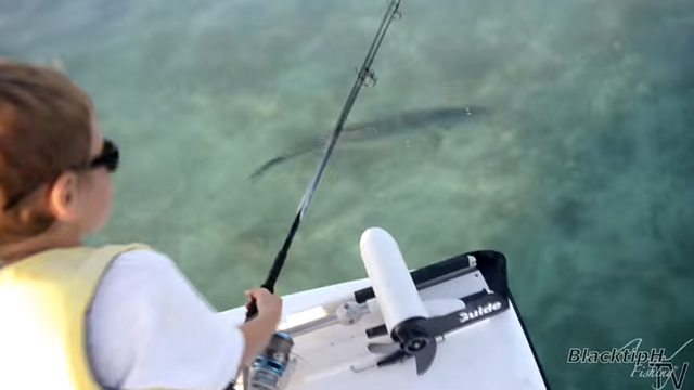 6 Year-Old Catches "100 lb." Tarpon!
