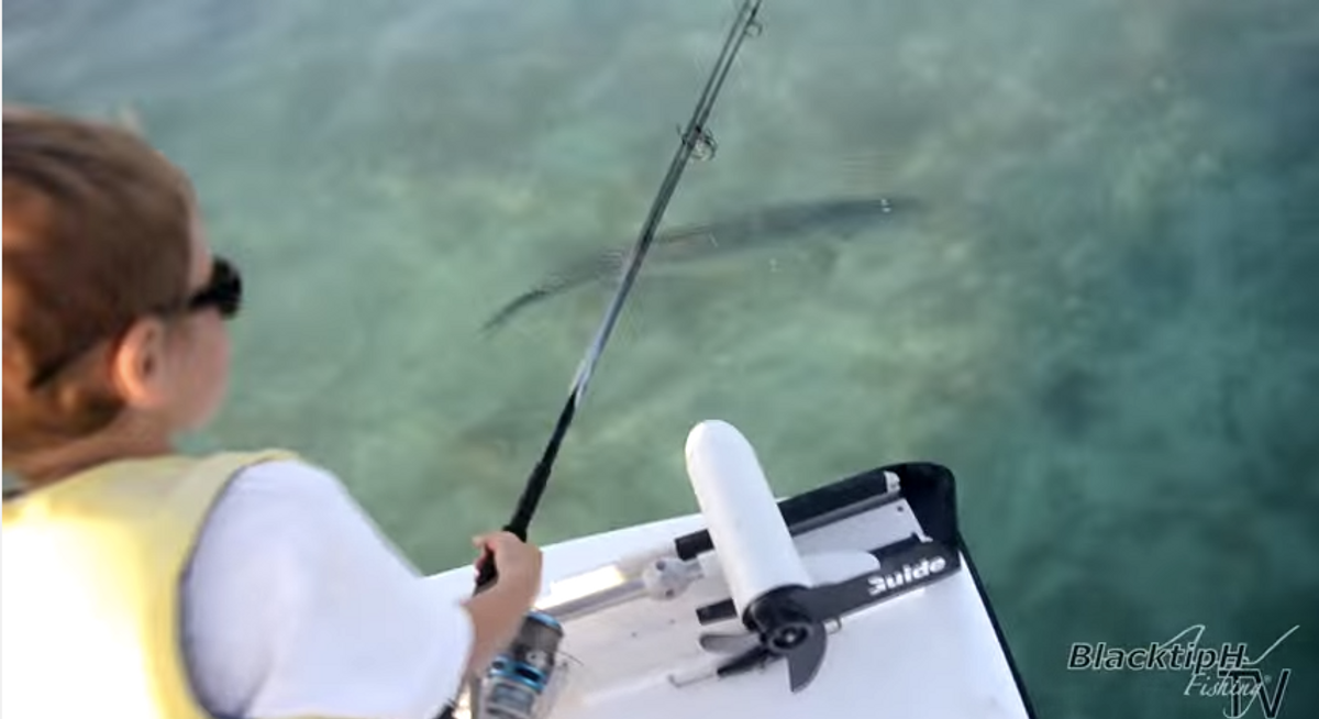6 Year-Old Catches "100 lb." Tarpon!