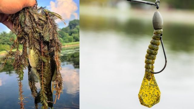 3 Easy Ways To Catch More Bass In Thick Grass