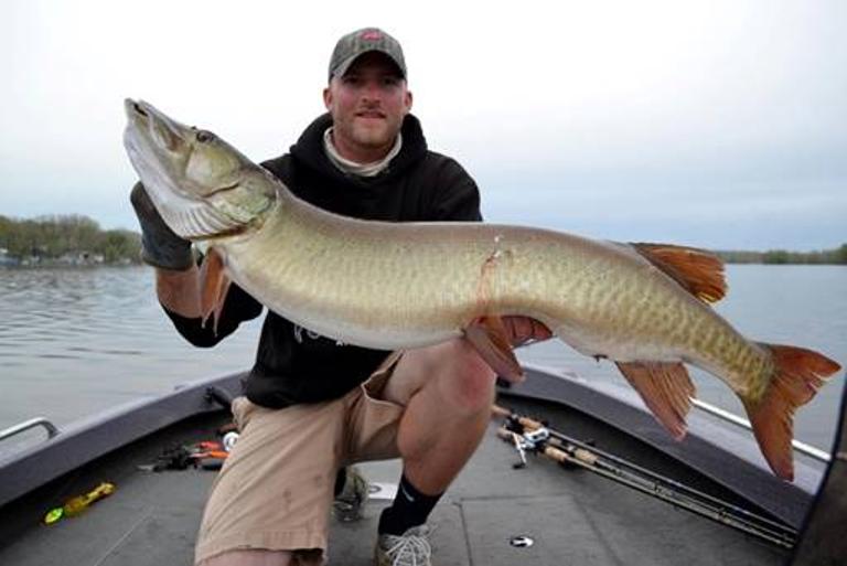 Musky Fishing 101: All You Need To Know About The Fish Of 10,000 Casts