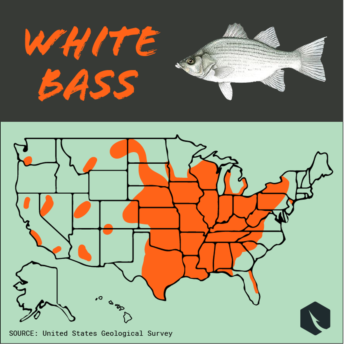 Bass Fishing Is Country Wide! Bass Ranges In The USA