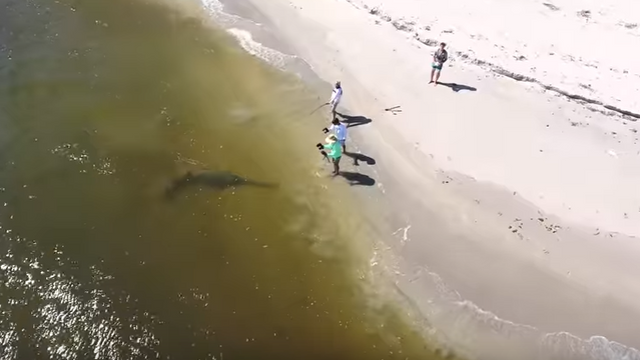 YouTubers Catch GIGANTIC and Rare Fish Off Florida Coast