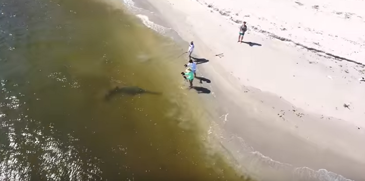 YouTubers Catch GIGANTIC and Rare Fish Off Florida Coast
