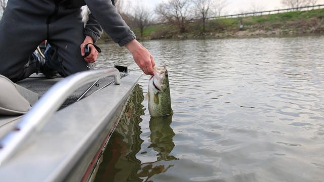 3 Great Lures For Fishing In Muddy Water
